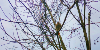 3-AaW4U1OarYYa5WjggXx54_mP3e1qEQuySe55oiHHdH7SlQrJ4mSHlo19lrAWZqLWVH.jpg - Ozersk74.Ru
