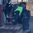 В Агалатово водитель в трусах повалил на землю инспектора ДПС - 47Channel.Ru