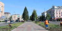 В Барнауле высаживают цветы на аллее по проспекту Ленина - Администрация г. Барнаул