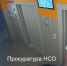 Задержан хозяин собаки, напавшей на прохожего - Сибкрай.ru