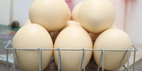 Попробуй Кубань на вкус - Газета Кубань Сегодня
