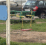 В Перми возбудили уголовное дело после нападения на ребенка на детской площадке - Business Class
