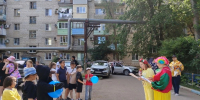 img - ЛДПР