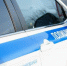 Тимур Бойков, Vologda-poisk.ru - Cher-Poisk.Ru