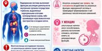 Эндокринная система и алкоголь: скрытая угроза здоровью! - Портал медучреждений Курганской области