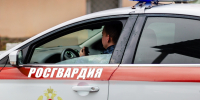 В Анапе росгвардейцы задержали находящуюся в розыске женщину при попытке хищения шампуня в супермаркете - 24Krasnodar.Ru