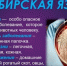 Бесхозные захоронения в Ростовской области создают риск вспышки сибирской язвы - RO.Today