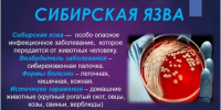 Бесхозные захоронения в Ростовской области создают риск вспышки сибирской язвы - RO.Today