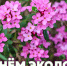 С Днем эколога! - Заповедник им. профессора В.В. Алехина