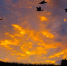 Фото: Photoexpert/Shutterstock/Fotodom - Красный Север