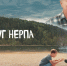 Фильм «Мой друг нерпа» уже в прокате! - Музей Фелицына