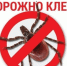 Осторожно! Клещи! - Роспотребнадзор