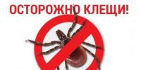 Осторожно! Клещи! - Роспотребнадзор