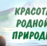 Всероссийский проект «Рисуй с нами» объявил о проведении творческих конкурсов для молодёжи - Комитет молодежной политики