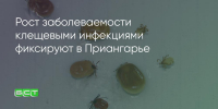 Поделитья во ВКонтакте - Братская Студия Телевидения