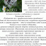 День эколога!!! - Управление охотничьего хозяйства