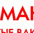 Информация о наличии вакансий в медицинских организациях Курганской области - Департамент здравоохранения