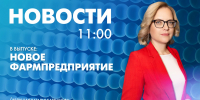Новости Петербурга к 11:00 - tvspb.ru - ТК Санкт-Петербург