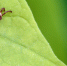 Фото: Spok83/Shutterstock/Fotodom - Красный Север