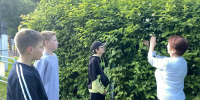 Кукуйский СБФ: «Зелёный маршрут» (6+) - Веневская библиотека