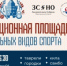 Демонстрационная площадка национальных видов спорта будет работать в Нижнем Новгороде 8 июня - Правительство Нижегородской области