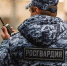 В Мурманске росгвардейцы пресекли грубое нарушение Правил дорожного движения - Росгвардия