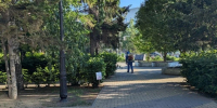 В Барнауле продолжают обрабатывать общественные пространства - Администрация г. Барнаул