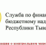 Информация о контрольном мероприятии, проведенном Службой по финансово-бюджетному надзору Республики Тыва - Служба по финансово-бюджетному надзору