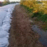 Сброс воды на Краснодарском и Шапсугском водохранилищах сократят - KrasnodarMedia