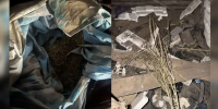 Свыше 540 граммов марихуаны и конопли изъяли у жителя Воронежской области - Обозреватель.Врн
