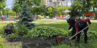 В рамках месячника по благоустройству в Никольском районе пройдет субботник - Никольский район