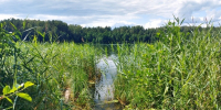 Десять нижегородских водоемов пригодны для купания - Время Н