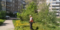 В Ленинском районе ежедневно ведутся работы по покосу травы - Администрация г. Барнаул
