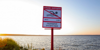 Жарко? Купаться? А негде. В Петербурге и Ленобласти Роспотребнадзор воду не одобряет - 47 новостей