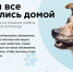 Полезная информация для владельцев домашних животных - Район Крюково ЗелАО Москвы