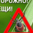 BxipWhS8X-gIolPb1DDtk5u35WsLdZN-_IgXZ134pKeIT4-NGv-EKGQ1gzSozFXXFORsakr9s5xX711ud93wtqhM.jpg - Администрация МР Кизлярского