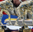 Две самбистки из Кургана стали серебряными призёрами первенства России - Область 45