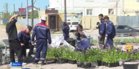 Более 3 тысяч бойцов студотрядов будут работать в Якутии - ГТРК Саха