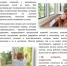 Памятка для родителей как предотвратить выпадение ребенка из окна - Город Первомайск