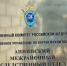 Житель Эртильского района предстал перед судом за применение насилия в отношении сотрудника полиции - Следственный комитет