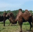 https://vkvideo.ru/video6084075_456239183 - Kaluga-Poisk.Ru