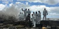 Молодёжка Народного фронта помогла вывезти более 500 тонн загрязнённого грунта с пляжей Туапсинского района - ОНФ в Москве