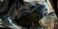 Более полукилограмма марихуаны изъяли у жителя Воронежской области - ВестиПК в Воронеже