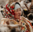 КМНС, олени - Noyabrsk-Inform.Ru
