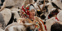 КМНС, олени - Noyabrsk-Inform.Ru