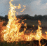 fire-steppe-grass-is-burning-destroying-everything-its-path.jpg - Gorod3466.Ru