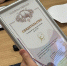 Соловей и колобок стали товарным знаком Курской области - Zhel.City