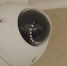 Фото: телеканал «Краснодар» - ТК Краснодар