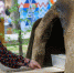 Нум - Noyabrsk-Inform.Ru