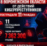 JPG Файл - ГУ МВД Воронежской области
